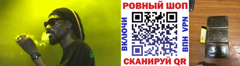 МЕФ Гусев