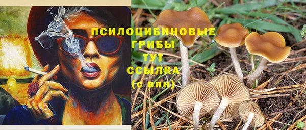 гашиш Богородск