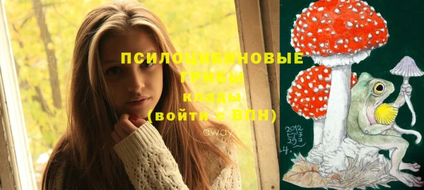 таблы Белокуриха