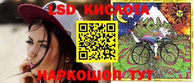 гидра Бийск