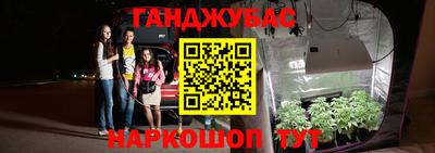 гидра Бийск