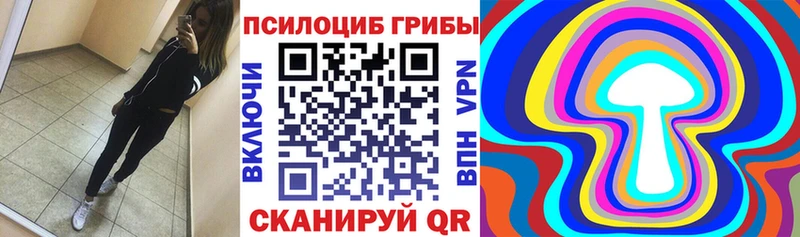 MEGA ссылка  купить закладку  Гусев  Галлюциногенные грибы MAGIC MUSHROOMS 