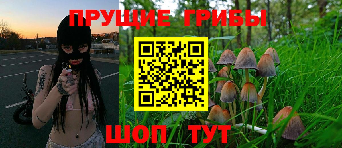 Гусев  Псилоцибиновые грибы ЛСД  Галлюциногенные грибы ЛСД  Вход с VPN 
