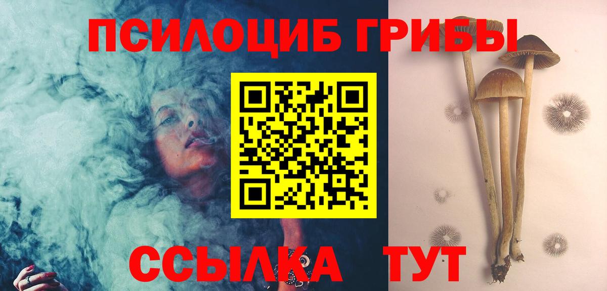 Галлюциногенные грибы MAGIC MUSHROOMS Гусев