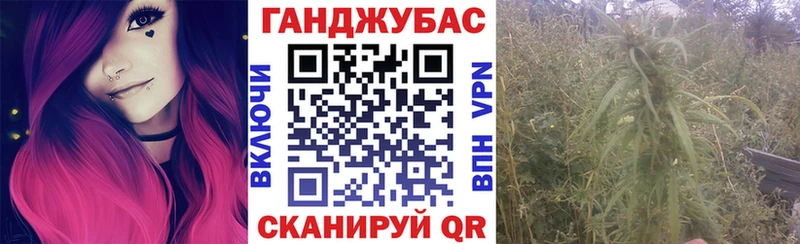 Бошки марихуана Amnesia  hydra онион  Гусев 